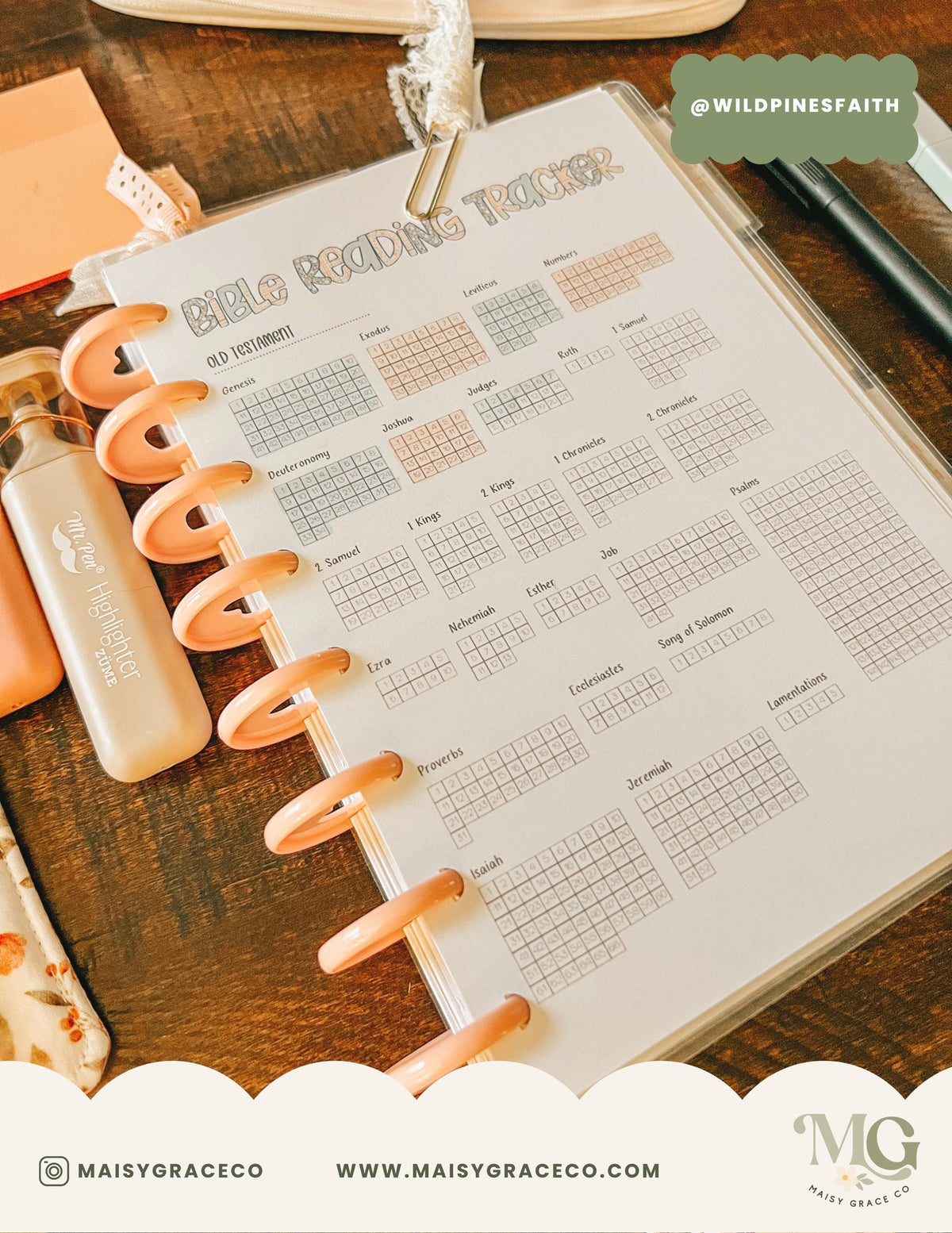 Printable Bible Reading Tracker, Old & New Testament