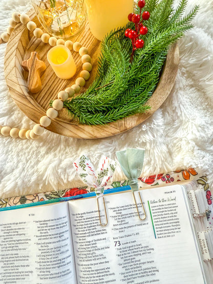 Candy Canes and Holly Christmas Paperclip Page Marker Bookmarks, Set of 2