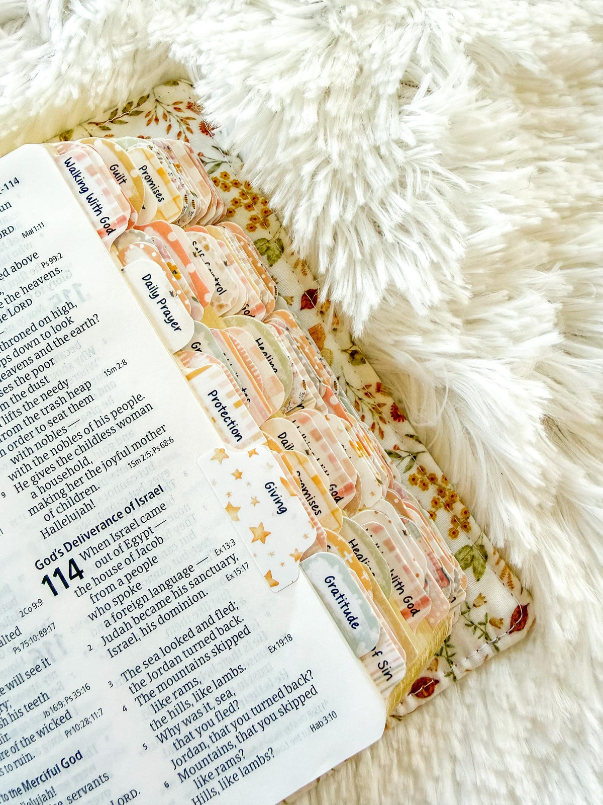 Floral Bees Prayer Bible Kit, Bible Tabs